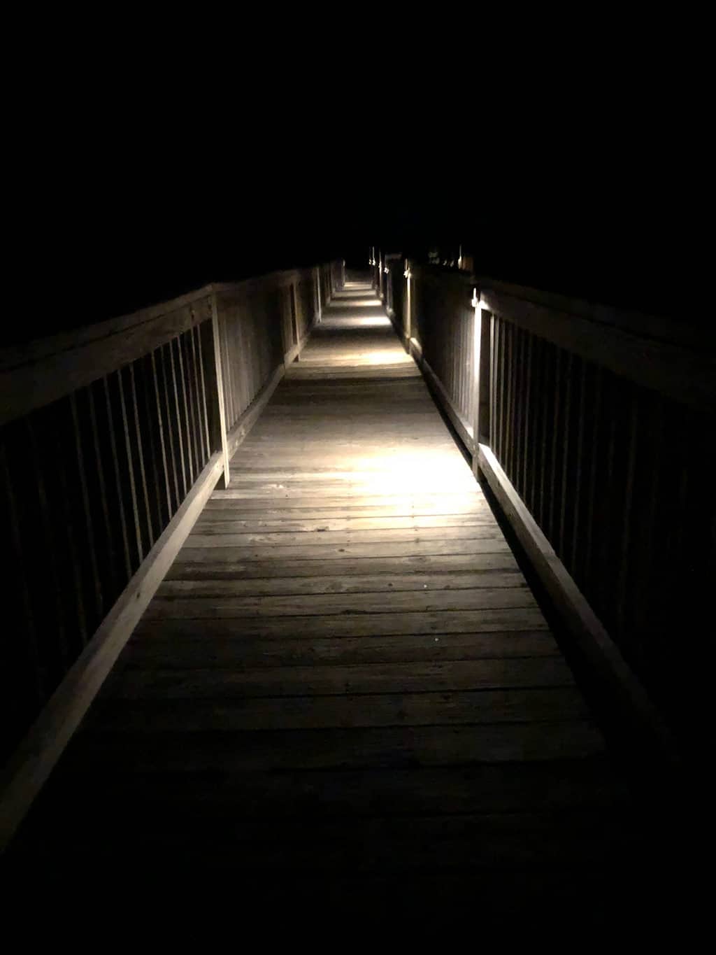 Outdoor Lighting Charlotte NC FREE NIGHT DEMO